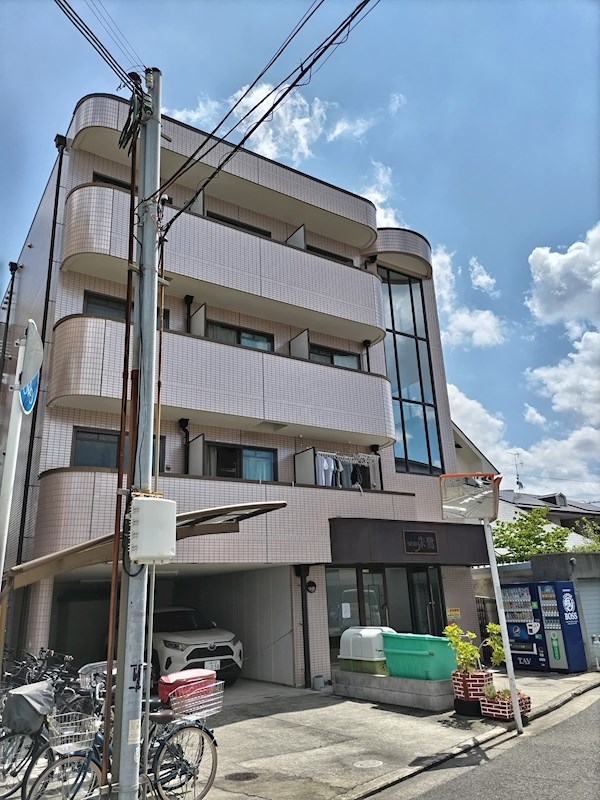 SEIBY朱鷺 （セイビートキ） DSC_4724.jpg