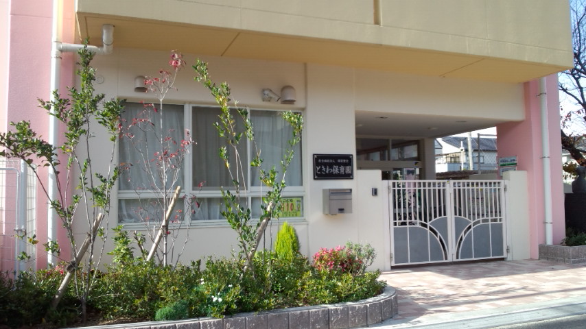 マンションよも 幼稚園：ときわこども園　225m