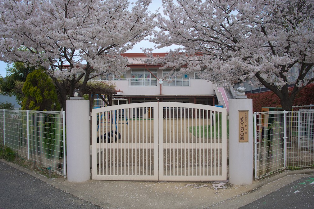 マンション藤Ⅰ番館 保育所：よろこびの園　253m