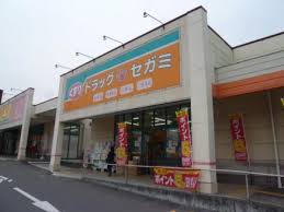 パープルマンションⅢ ドラッグストア：ﾄﾞﾗｯｸﾞｾｶﾞﾐ 黒土店　492m