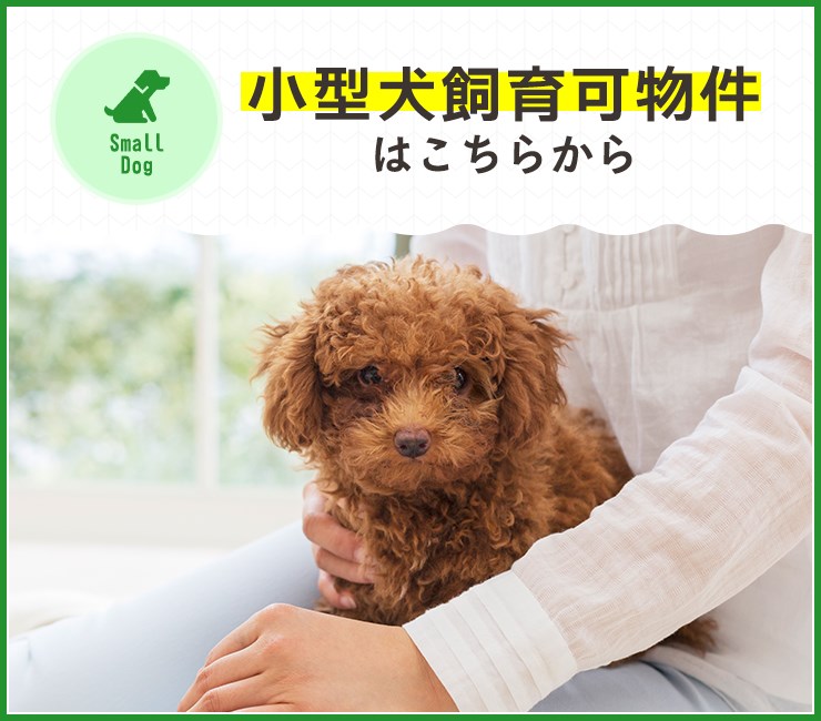 メゾネットフォレスト 小型犬・猫相談可