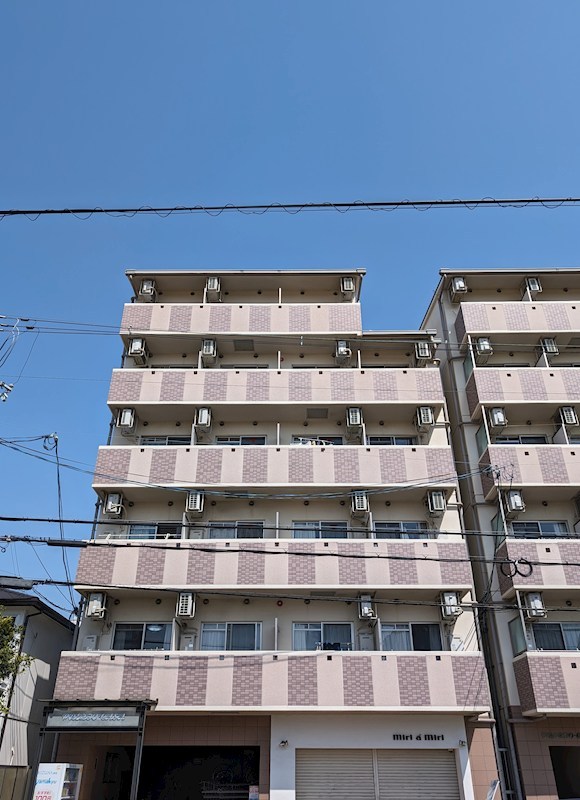プレジオカーサ PXL_20240322_041801913.jpg