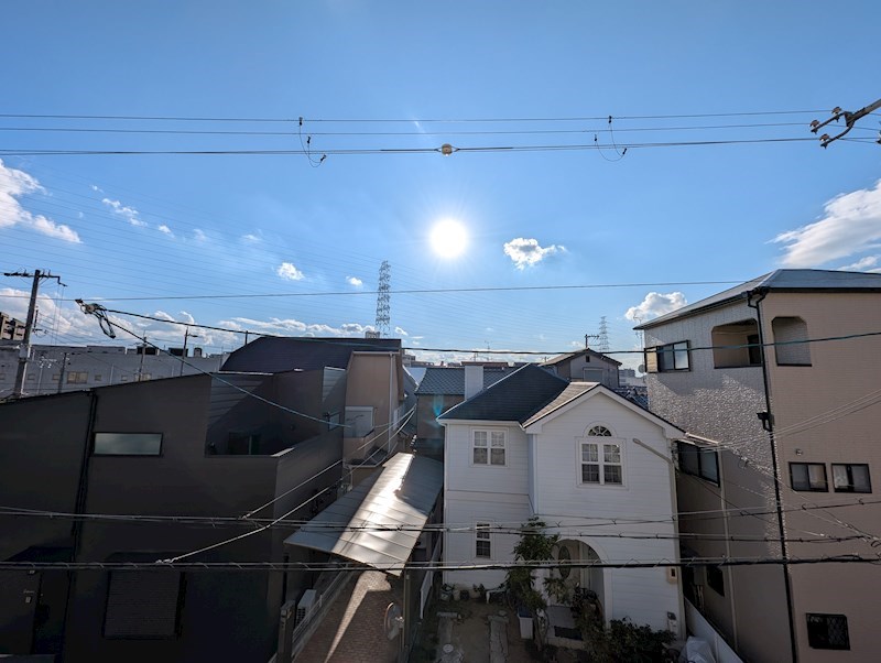 ボザビタン PXL_20241217_052310690.jpg