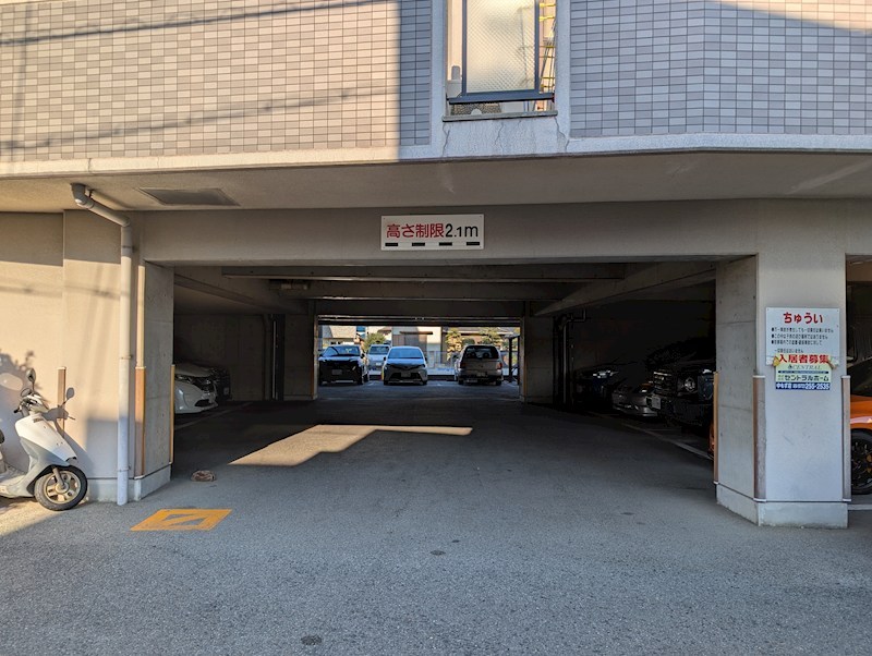 ボザビタン PXL_20241217_052615169.jpg