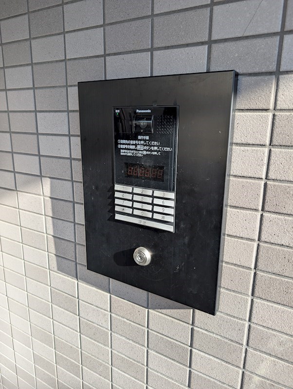 ボザビタン PXL_20241217_052743159.jpg