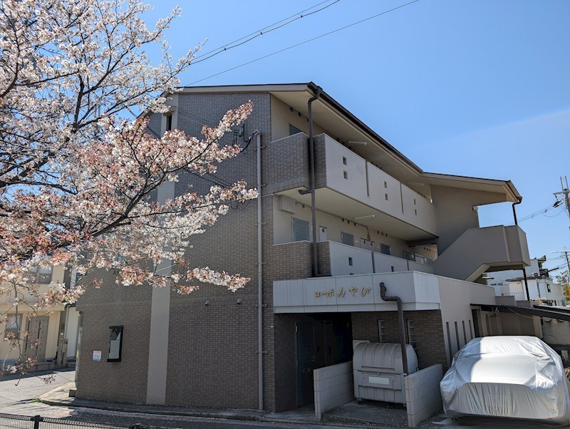 PXL_20260411_025444551.jpg