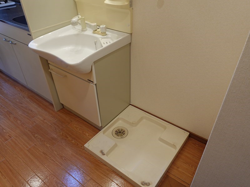 プレジオカーサ ZV_00447.jpg