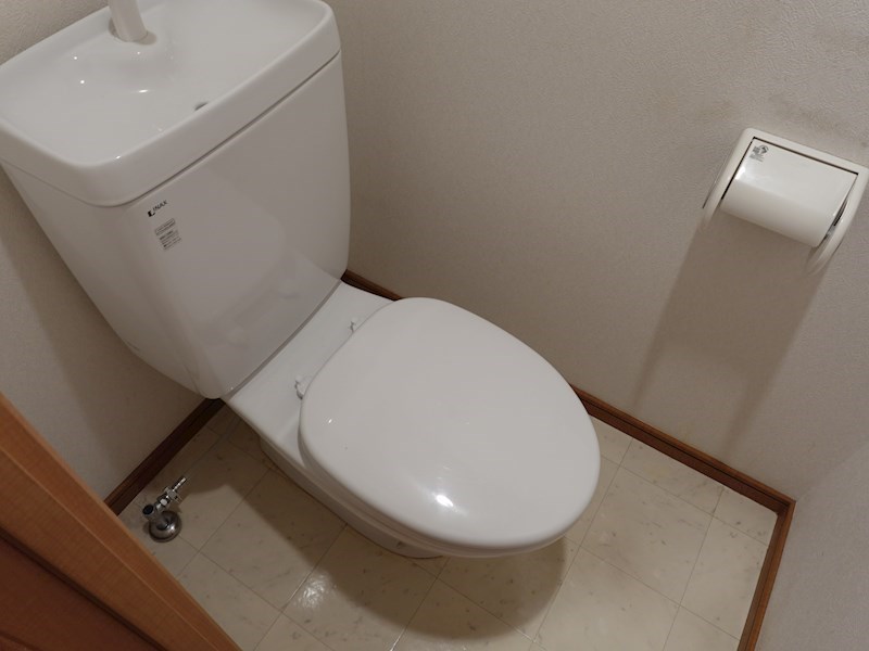 プレジオカーサ ZV_00451.jpg