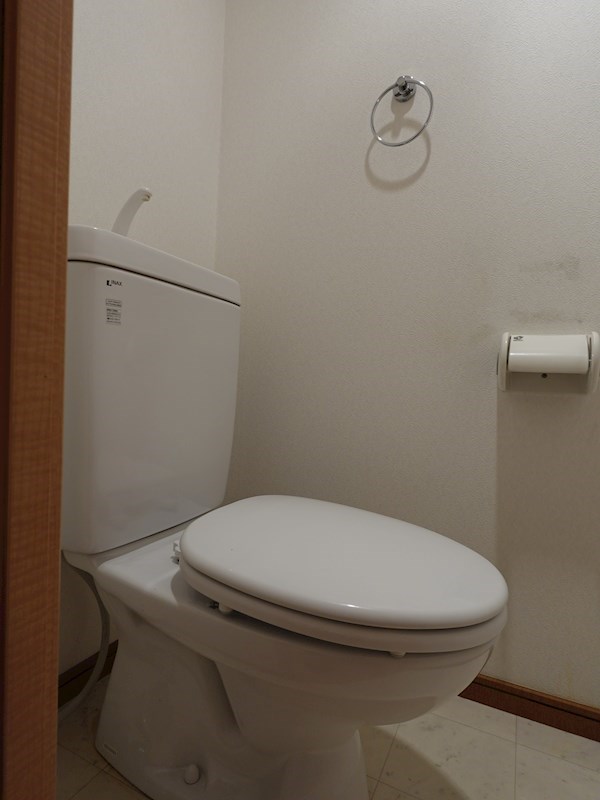 プレジオカーサ ZV_00453.jpg