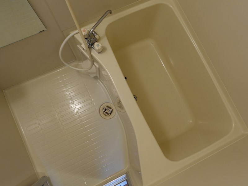 プレジオカーサ ZV_00455.jpg