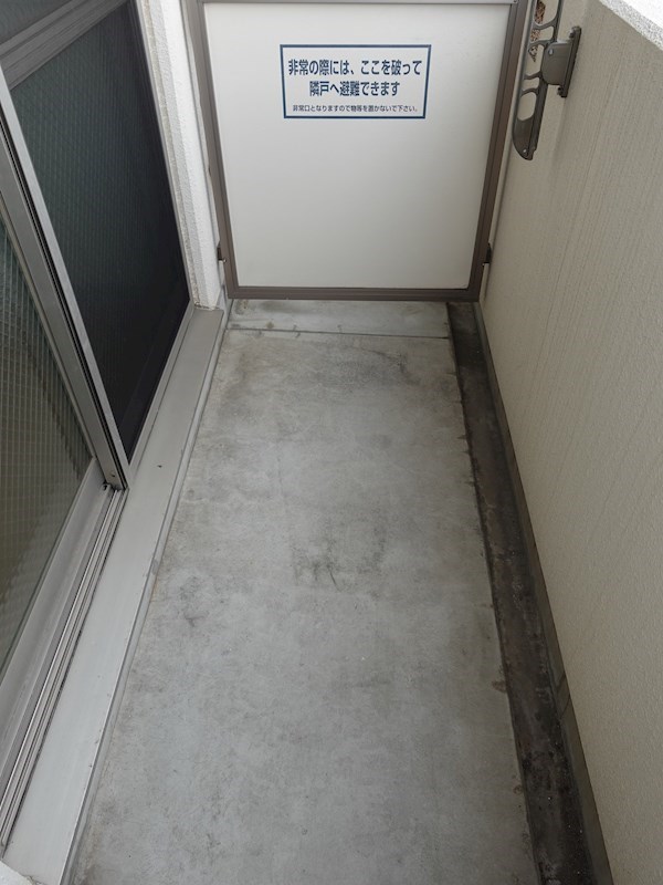 プレジオカーサ ZV_00480.jpg