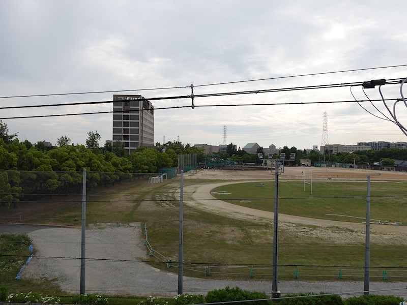 プレジオカーサ ZV_00482.jpg