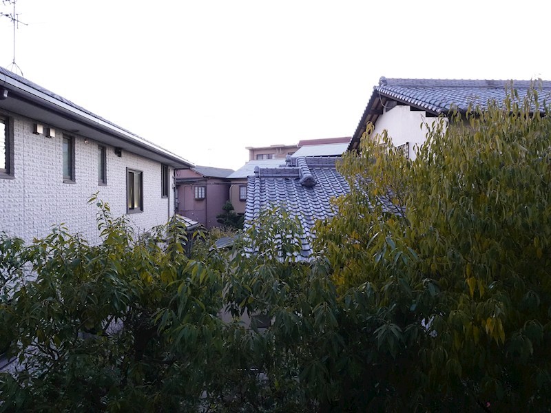フラワーコート梅北 ZV_02813.jpg