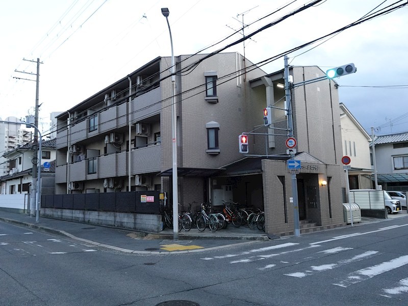 ZV_03106.jpg